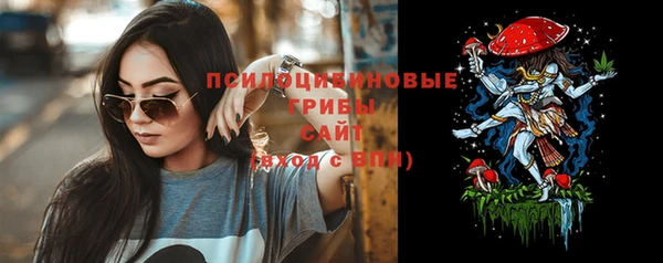 спайс Козельск