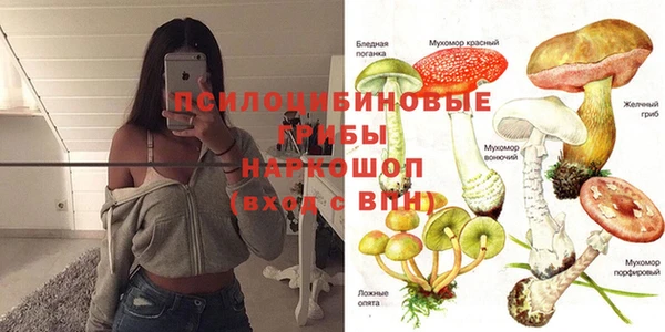 Альфа ПВП Кодинск