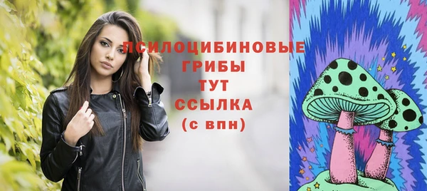 Альфа ПВП Кодинск