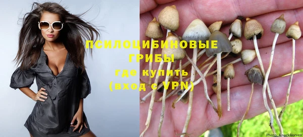 Альфа ПВП Кодинск