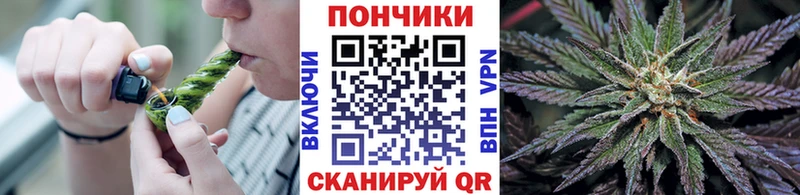 Бошки марихуана индика  Купить где  Пролетарск 